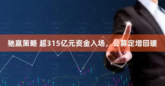 驰赢策略 超315亿元资金入场，公募定增回暖